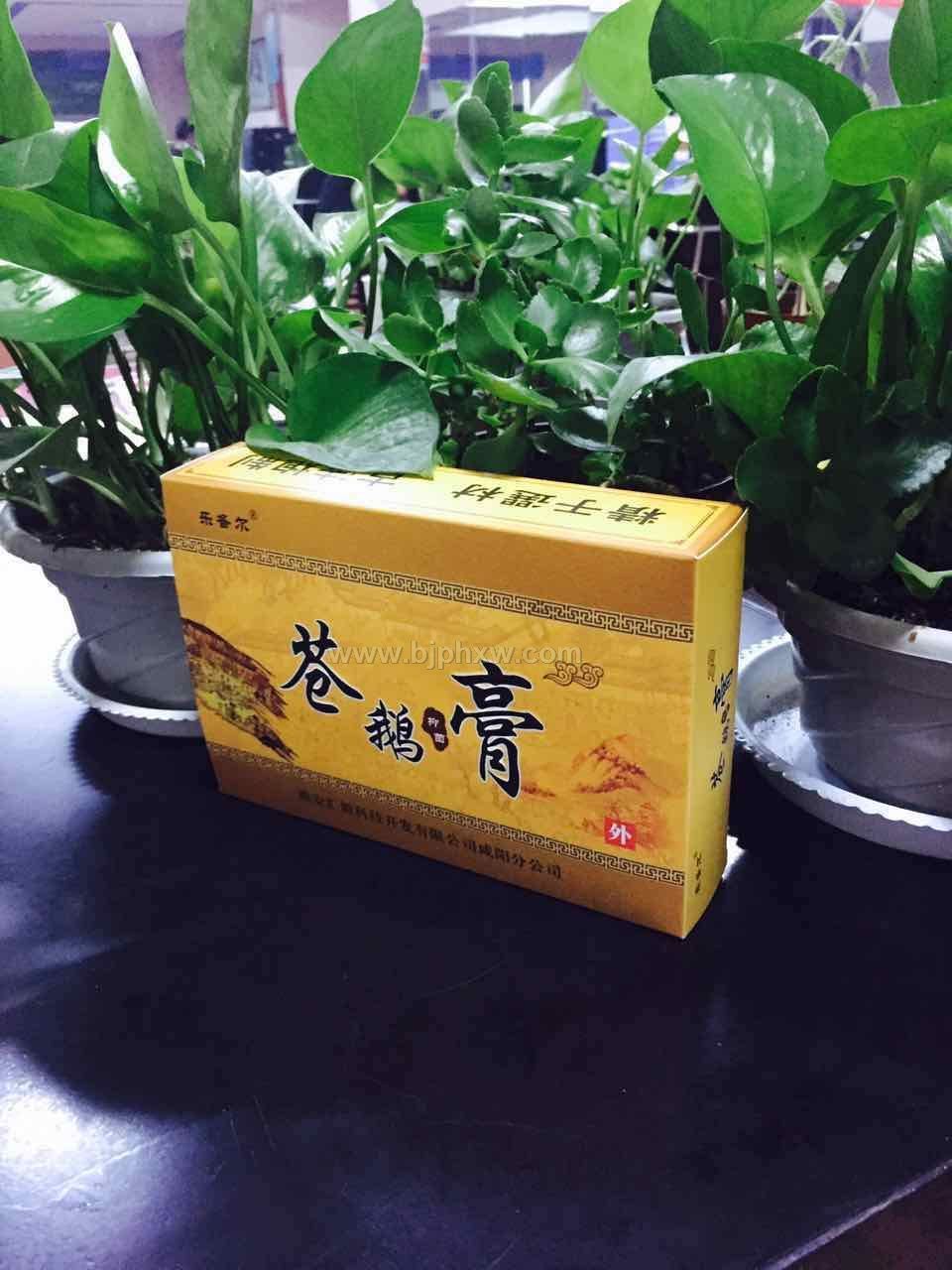 �n�Z���׸� ��?zh��n)��ط?һ��Ҋ(ji��n)Ч������(hu��)�N(xi��o)����Ʒ����