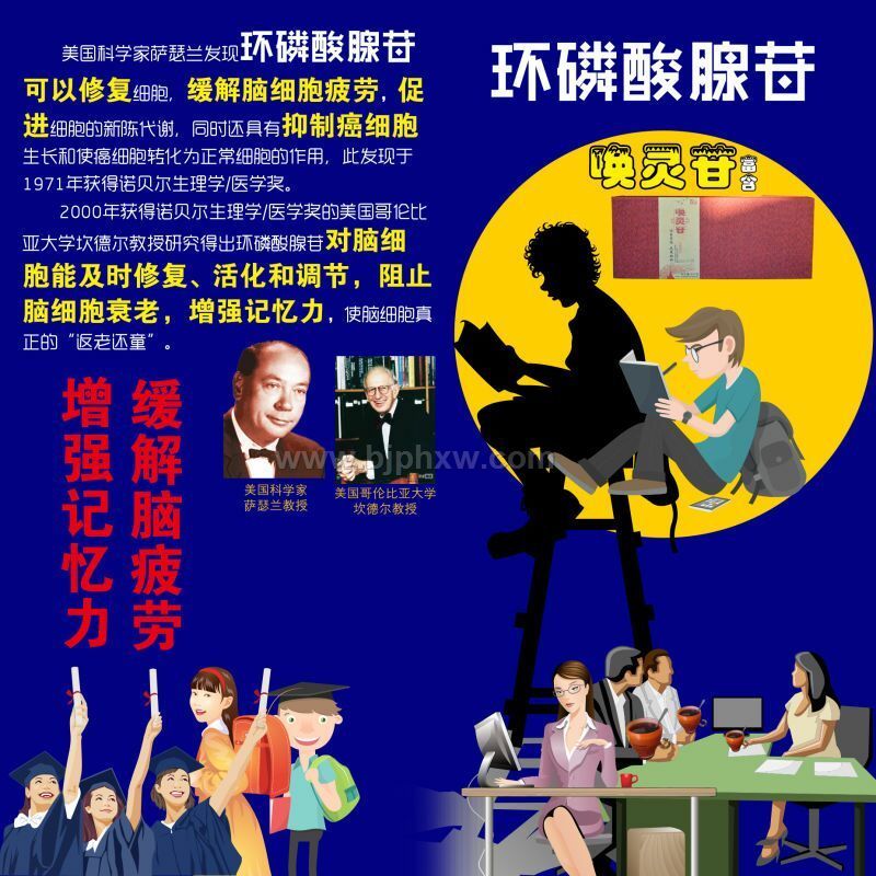 喚靈苷--過(guò)目不忘，元來(lái)如此