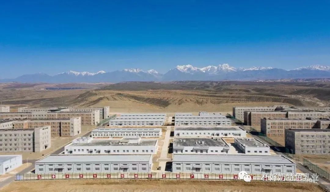 新疆駱駝奶粉全國(guó)招商 駝奶粉代理 私人訂制OEM