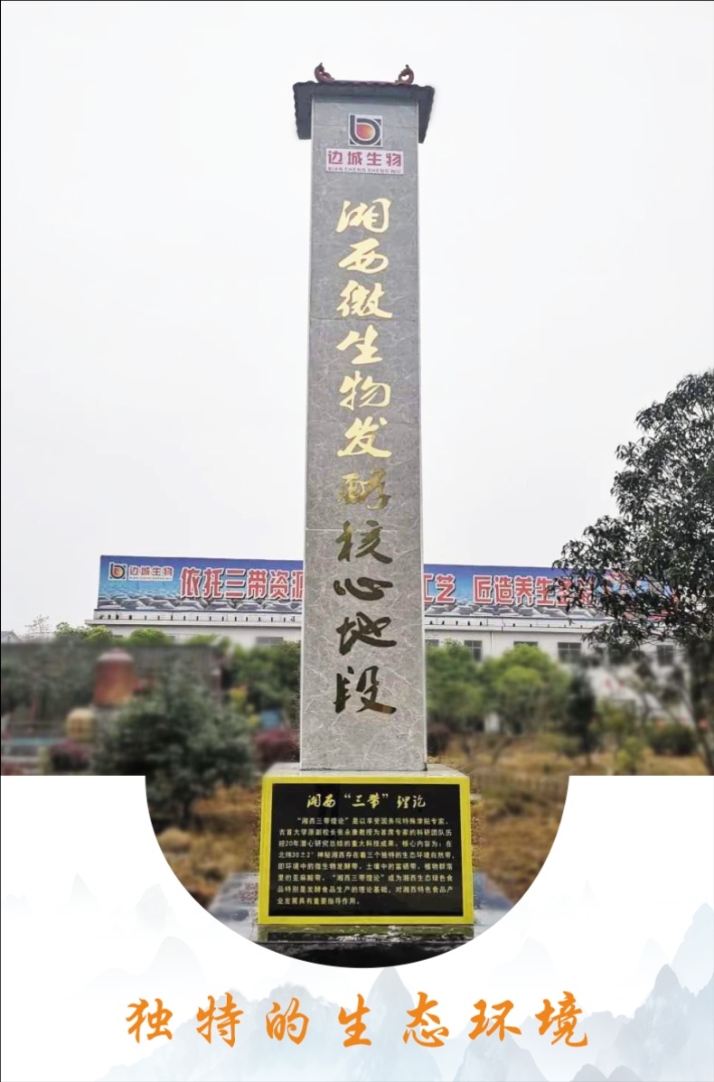 會(huì)銷門(mén)店收單創(chuàng)收品神秘湘西醋自帶流量防火墻