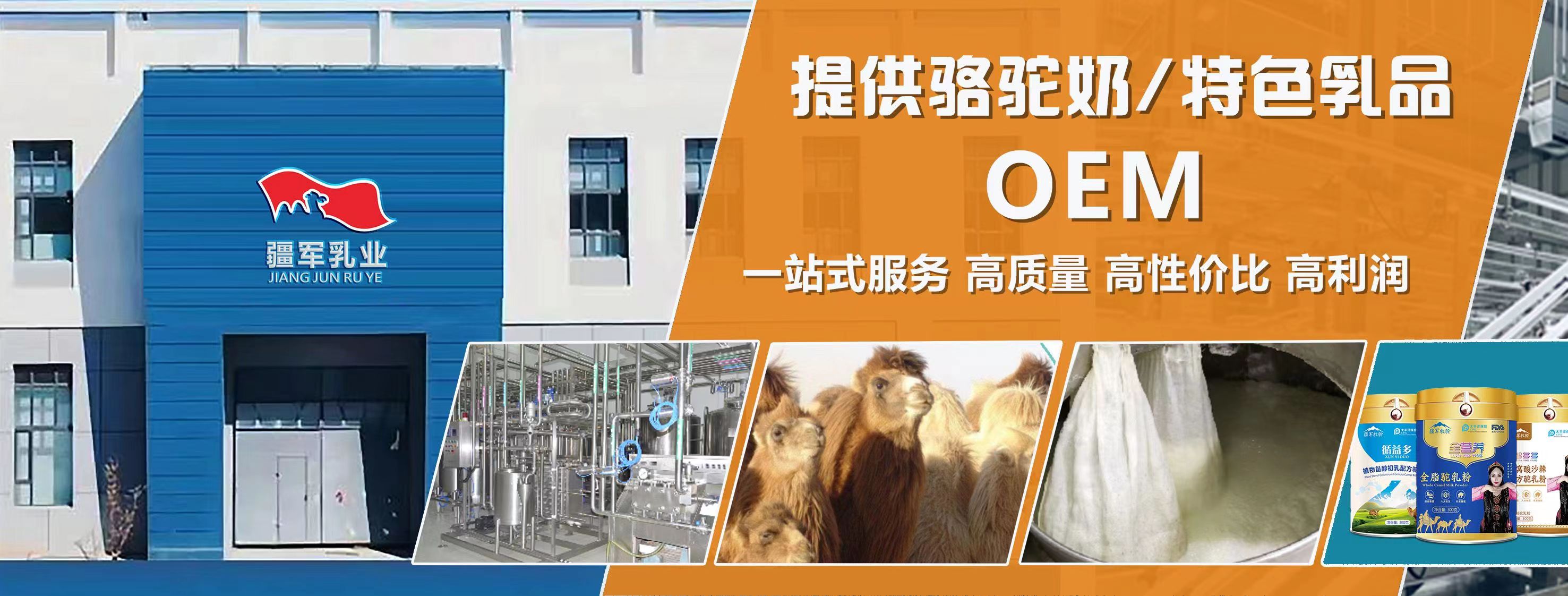 新疆駝奶粉代加工、駱駝奶粉新疆廠家