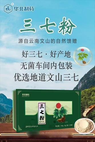 華北制藥三七粉