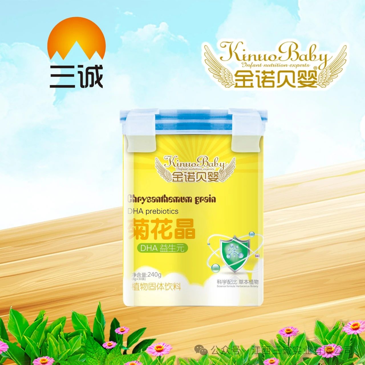 菊花晶 DHA 益生元